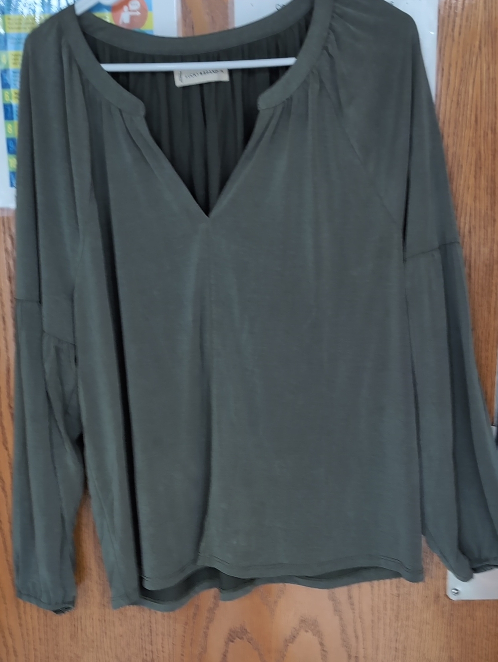 Evereve Olive V-Neck Long Sleeve Top
